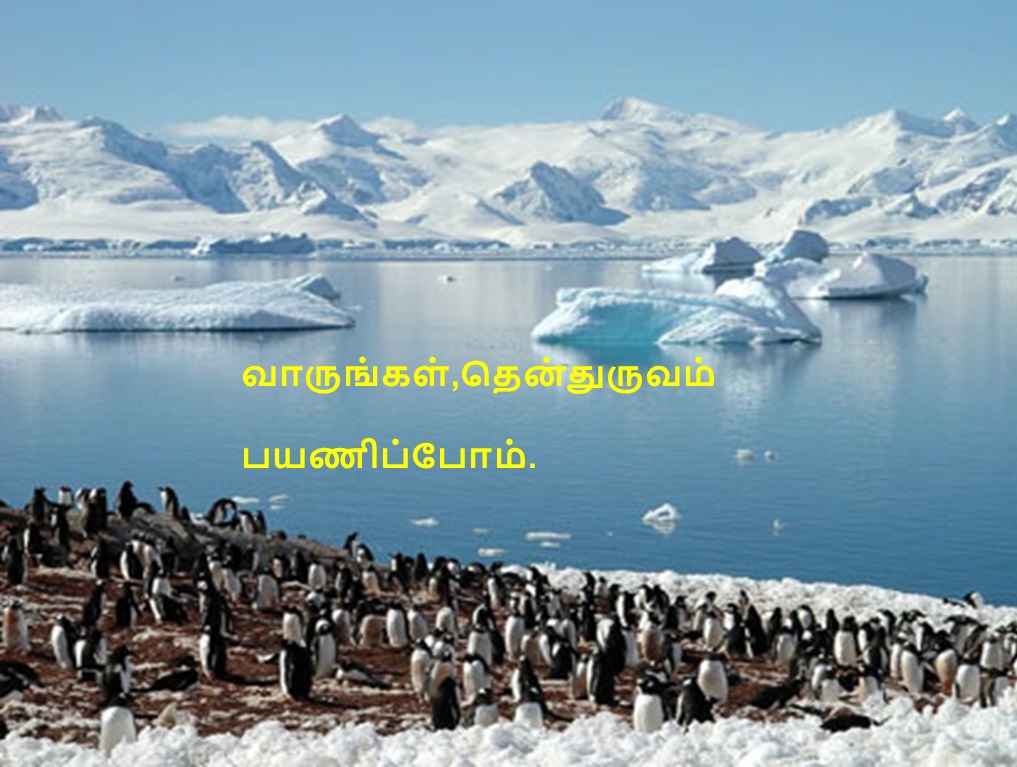 ppt21